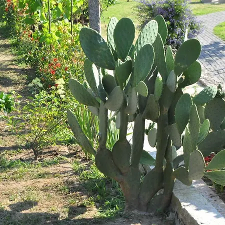 Casa Dos Avos By Eira Dos Canastros Farma