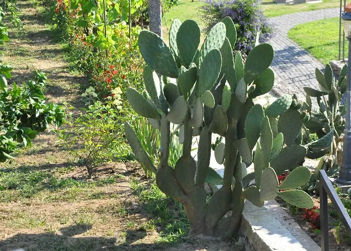 Casa Dos Avos By Eira Dos Canastros Farm stay